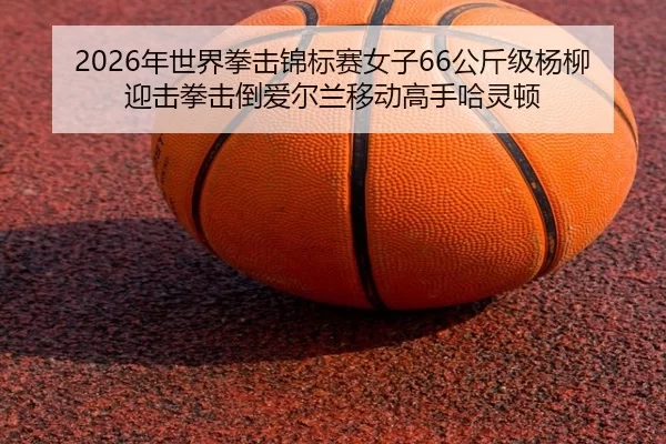 2026年世界拳击锦标赛女子66公斤级杨柳迎击拳击倒爱尔兰移动高手哈灵顿